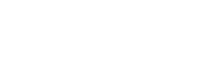 Surf Internet